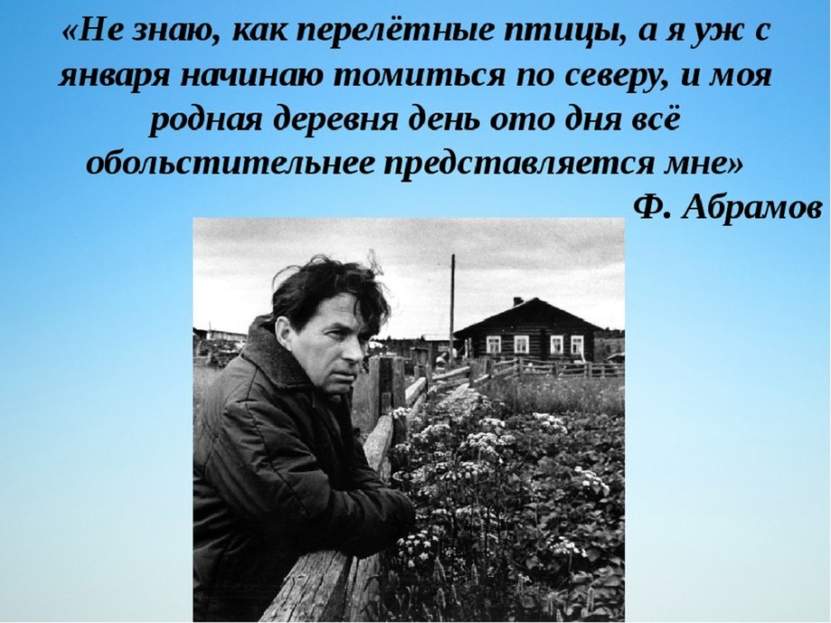 Сочинение: Изображение деревни в романе Ф.А. Абрамова “Братья и сестры”