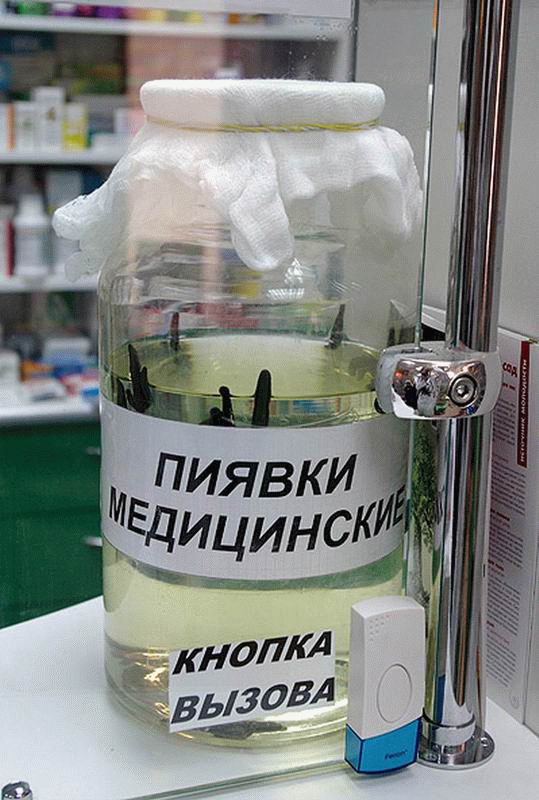 Пиявки Купить В Казани Аптеки Цена