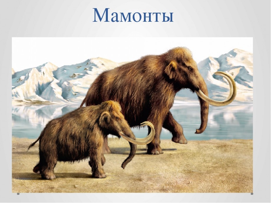 Самый большой мамонт в мире