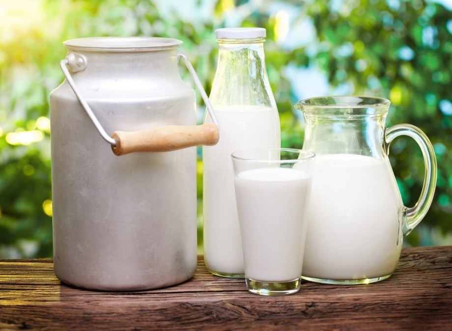 Интересные факты о пользе молока