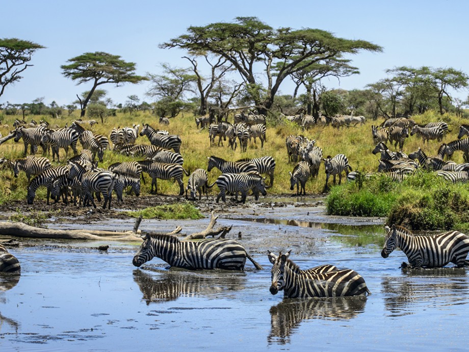 Подборка фото: Красивая природа Африки — Общенет