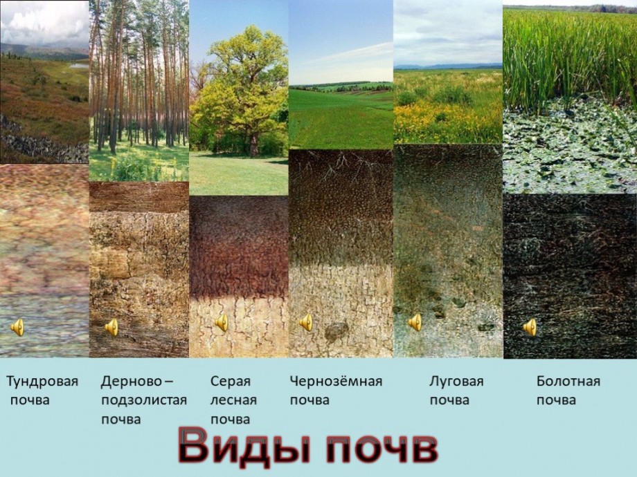 В какой природной зоне самые плодородные земли. Типы почв земли в России. Типы почв 3 класс окружающий мир. Почва внешний вид. Почва виды почв.