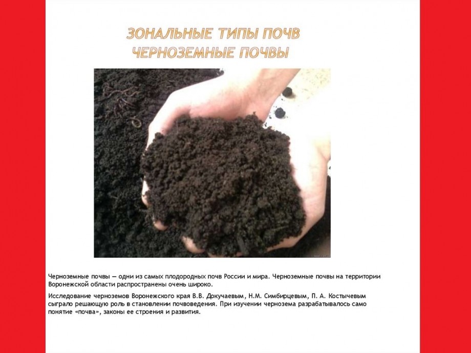 Отбор проб почвы. Пробы почвы. Презентация на тему отбор проб почвы. Отбор почвенных образцов. Наиболее плодородными почвами являются чернозем